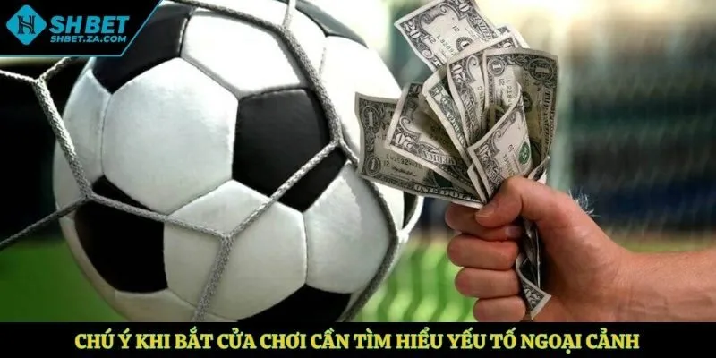 Chú ý khi bắt cửa chơi cần tìm hiểu yếu tố ngoại cảnh