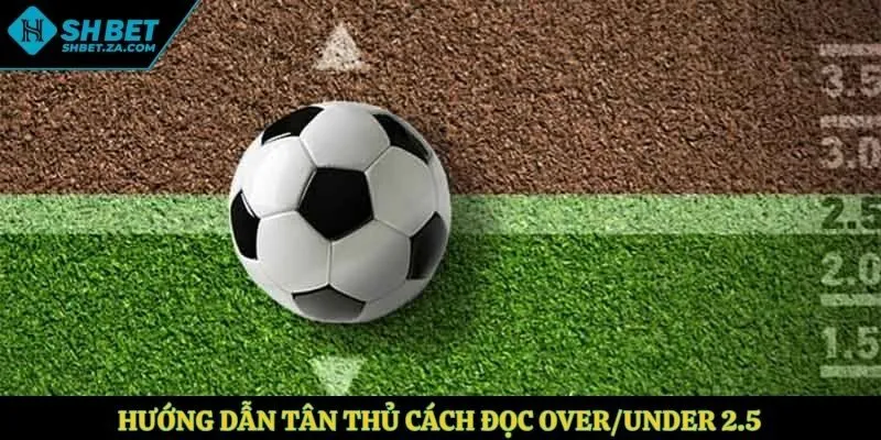Hướng dẫn tân thủ cách đọc Over/Under 2.5
