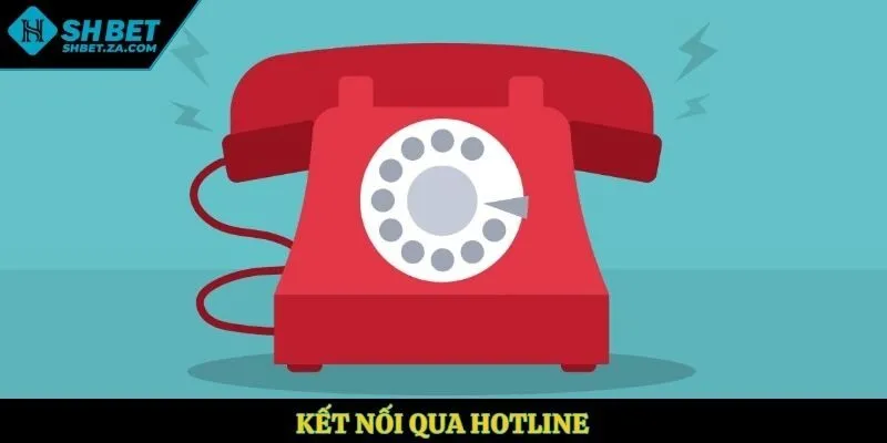 Kết nối qua hotline