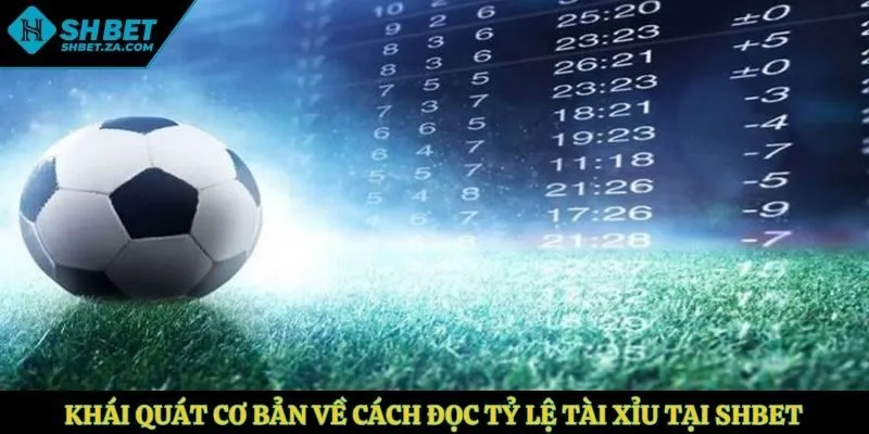 Khái quát cơ bản về cách đọc tỷ lệ tài xỉu tại SHBET