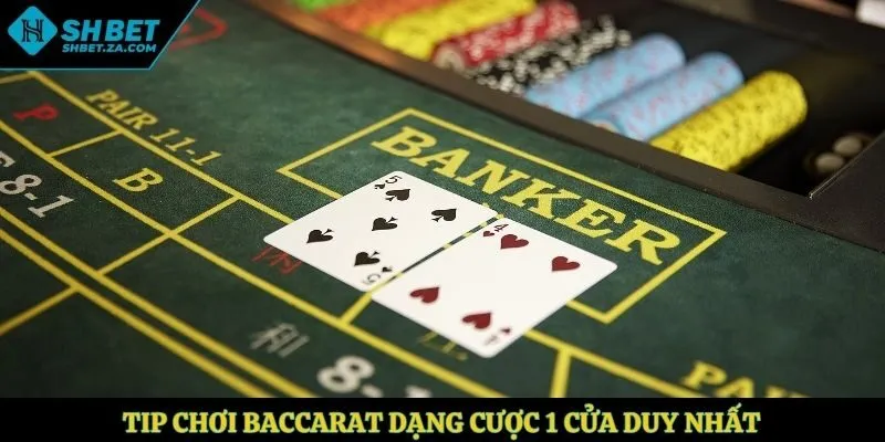 Tip chơi Baccarat dạng cược 1 cửa duy nhất
